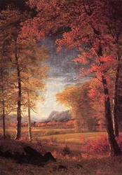 Herbst in Amerika, Oneida County, New York